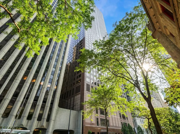 161 E Chicago Ave APT 53H, Chicago, IL 60611