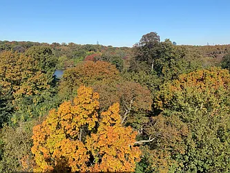 Rented by MLB ESTATES LLC