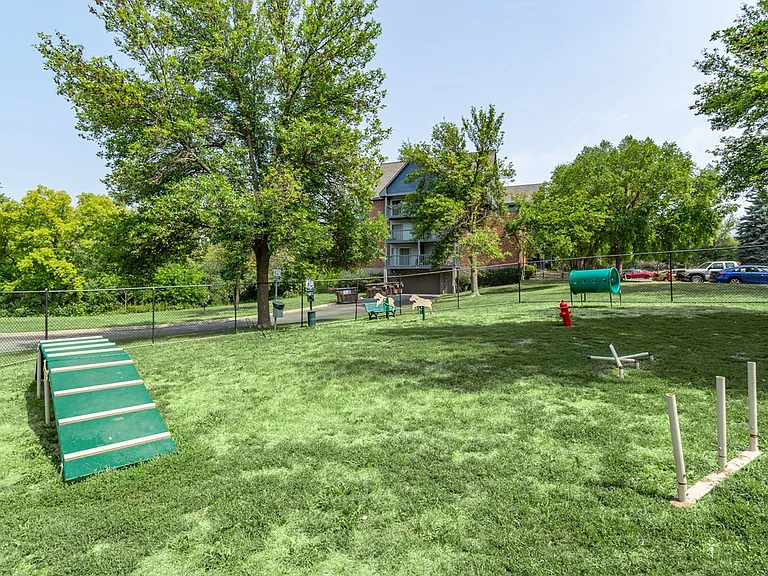 Dog Park