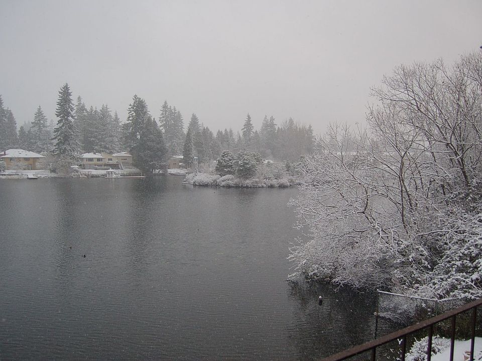 2007