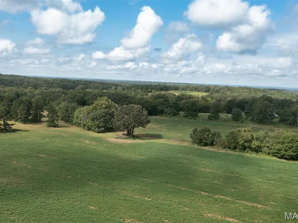 TRACT 1 Bcr 810 Gln, Fredericktown, MO 63645