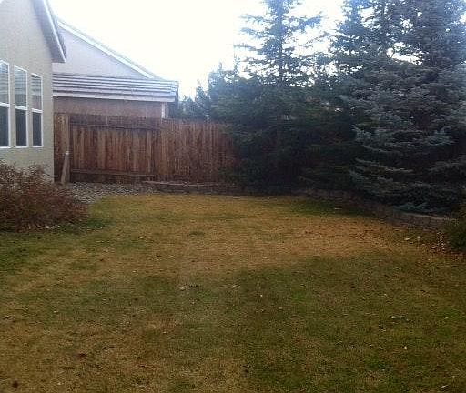 entertainment size yard