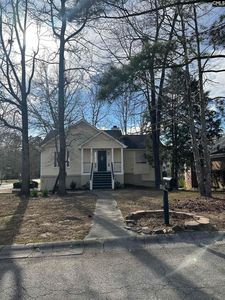 128 Spring Blossom Ln, Chapin, SC, 29036