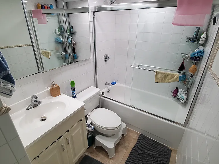 Bathroom on the lower level