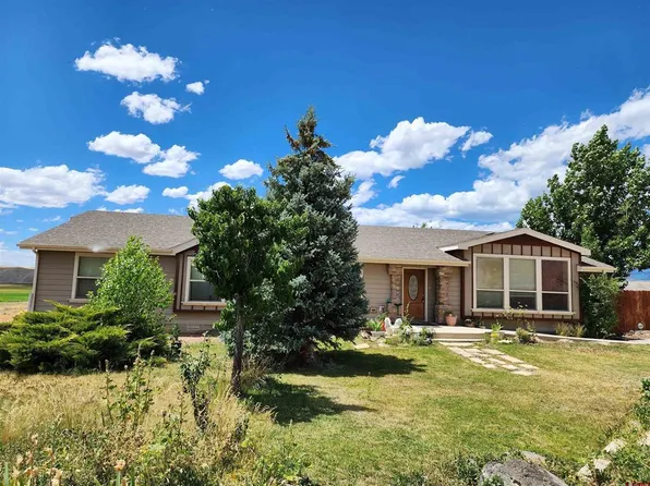9295 1980 Lane, Austin, CO 81410
