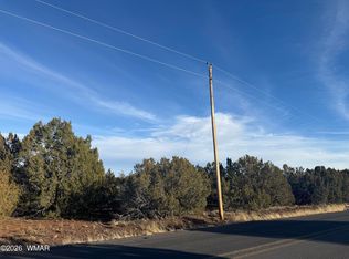 134 County Road 3148, Vernon, AZ 85940