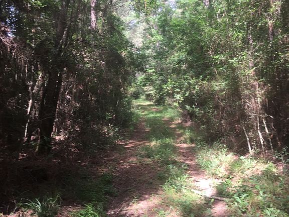 2nd image of Seth Baggett Road #60