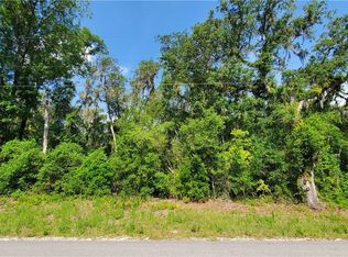 7491 Shasta St, Webster, FL 33597