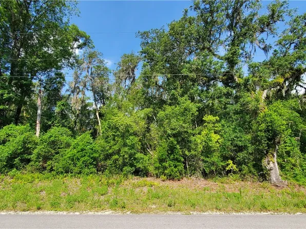 7491 Shasta St, Webster, FL 33597