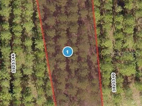 16740 Artimino Loop #26, Montverde, FL 34756