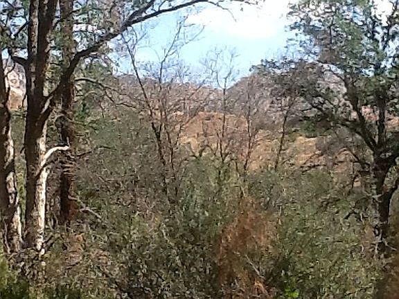 3rd image of 0 Mountain Shadow Rd Apn 296-261-32-00