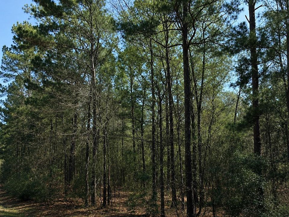 2nd image of 0 Norfolk