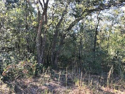 CR 656, Webster, FL, 33597