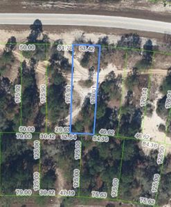 731 COUNTY ROAD 29 LOT 43, Lake Placid, FL, 33852