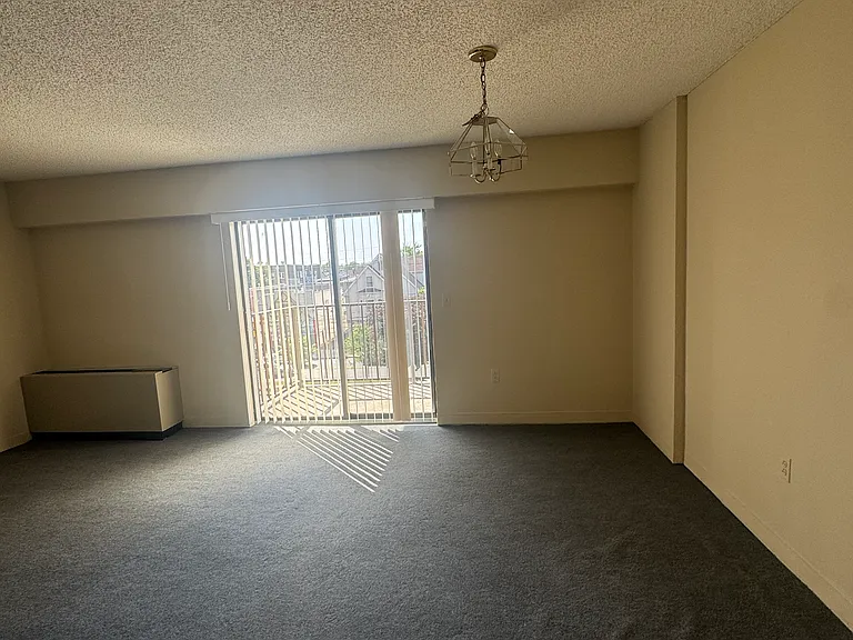 10 N Wood Ave #318 — Photo 6
