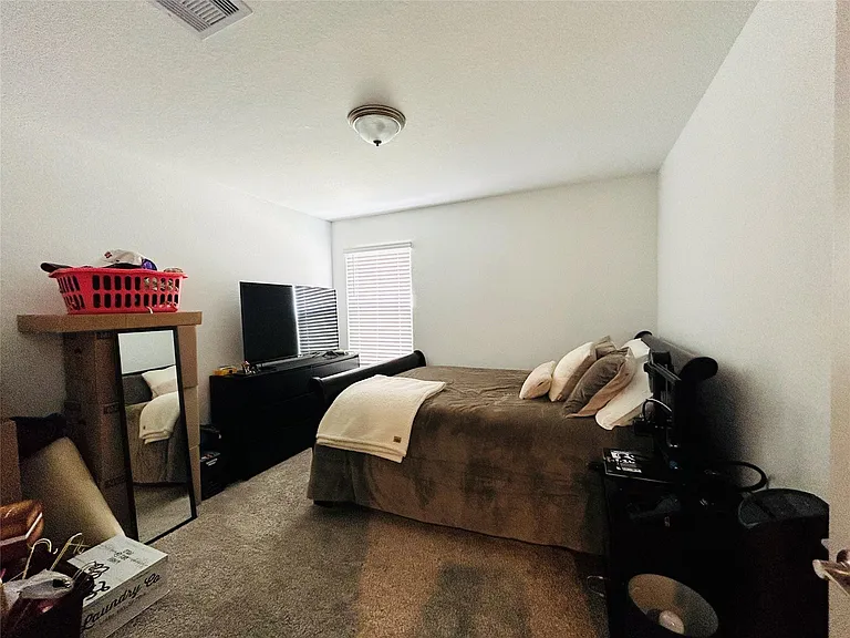 29403 Georgia Throw Ln — Photo 25