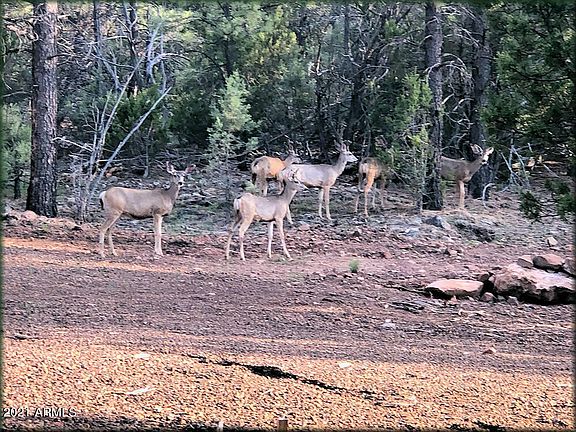 3rd image of 2306 THUNDERBIRD Circle #B1 and B2