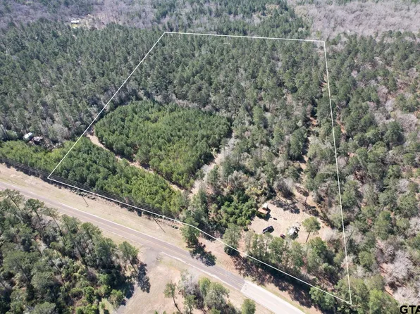 4495 Fm 3065, Colmesneil, TX 75938