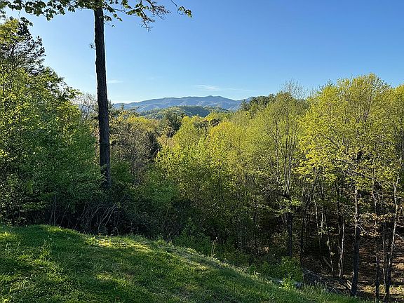 4th image of 561 Puett Cove Cir