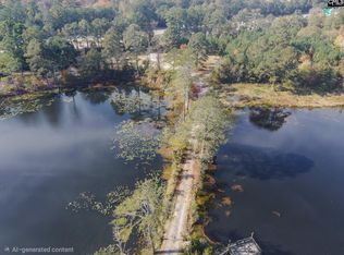 101 Moolah Dr, Columbia, SC 29223