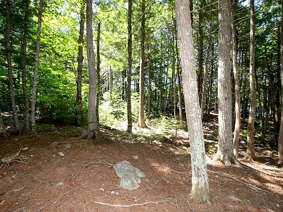 4th image of Lot S1 Gray Cove Road