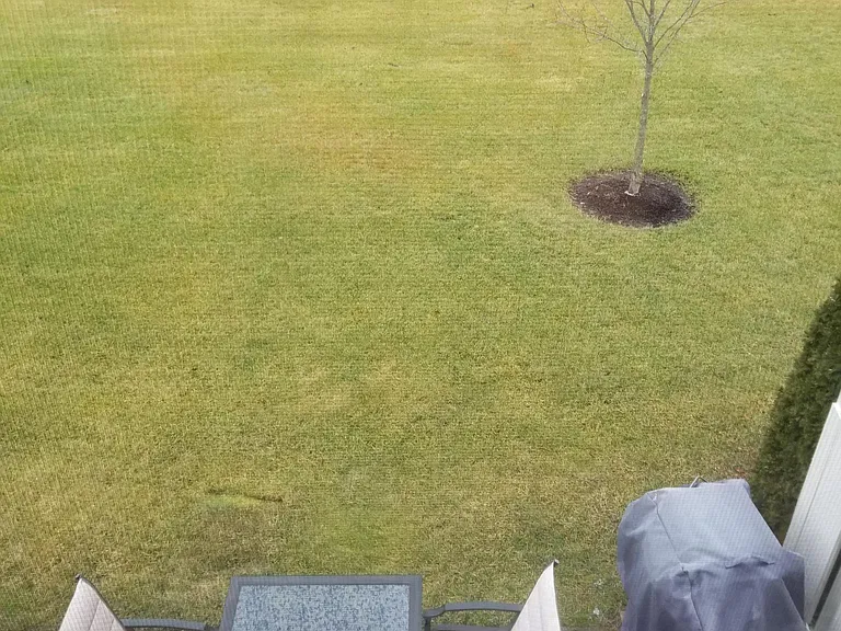 Patio view from master bedroom