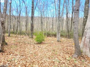 17 Maple Ln, Branchville, NJ 07826