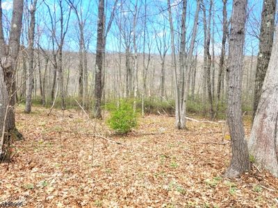 17 Maple Ln, Branchville, NJ, 07826