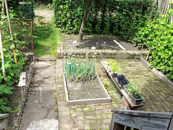 back yard