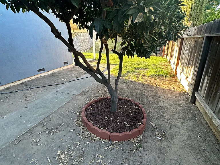 621 Tammi Way — Photo 11
