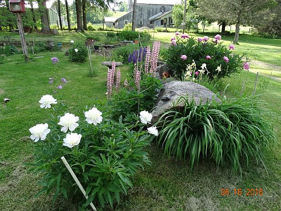 5th image of 847 County Road 28