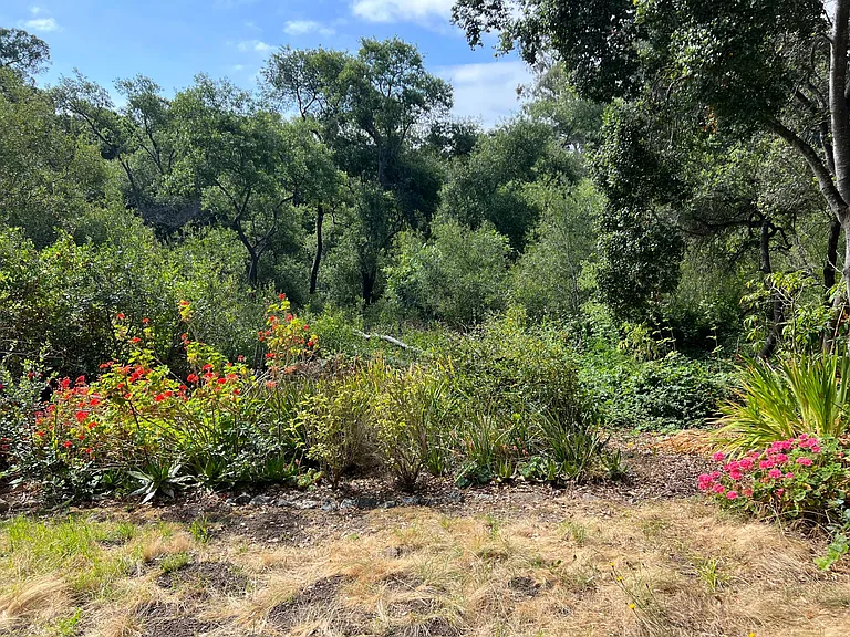 2524 Charlene Ln — Photo 24