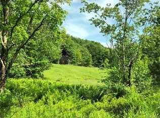 115 Hammer Rd, Fremont Center, NY 12723