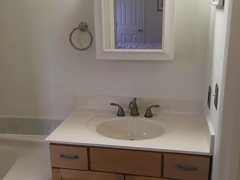 1025 Lake Shadow Dr — Photo 42