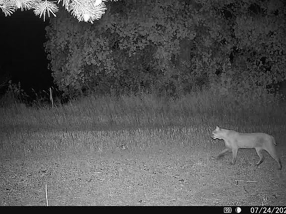 2nd image of 11545 Five Mile Rd