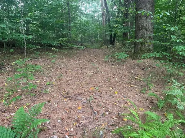 671 Waterbury Rd #10, Redfield, NY 13437