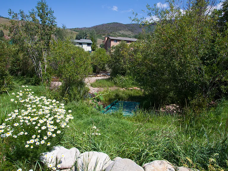 251 Alpine Rd — Photo 8