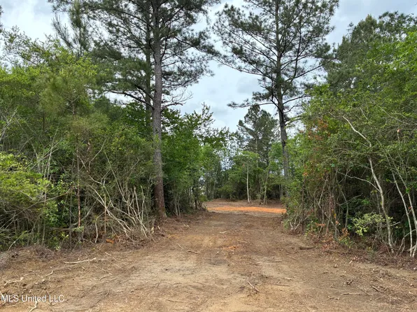 LOT 2 Wortham Rd, Saucier, MS 39574