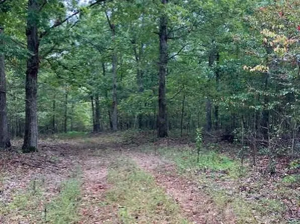 169 Madison St #410, Fredericktown, MO 63645