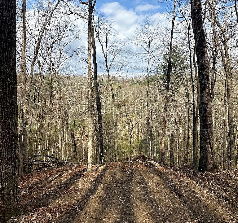 1st image of 38 S Blue Horizon Dr
