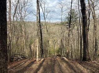 38 S Blue Horizon Dr, Blue Ridge, GA 30513