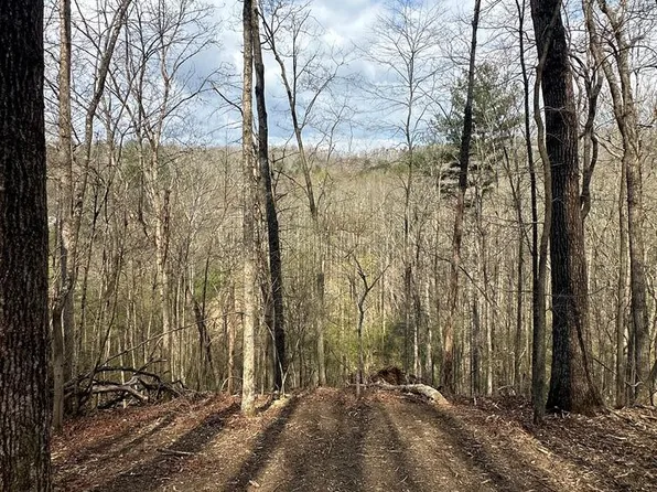 38 S Blue Horizon Dr, Blue Ridge, GA 30513