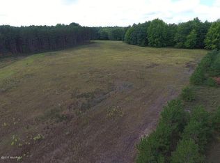 6771 22 Mile Rd, Barryton, MI 49305