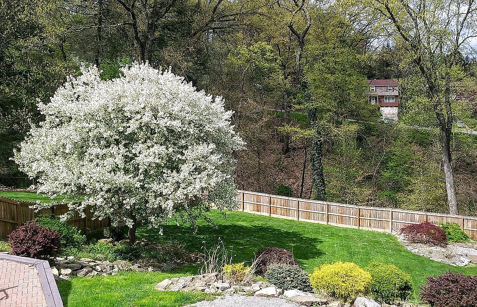 2nd image of 209 Chapel Ridge Dr