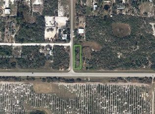 101 Highlands Blvd, Lake Placid, FL 33852