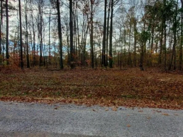 LOT 8 Randolph Cv, Jasper, AL 35503