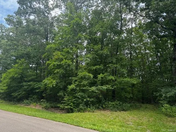 14 Buzzard Rock Rd, Farmington, MO 63640