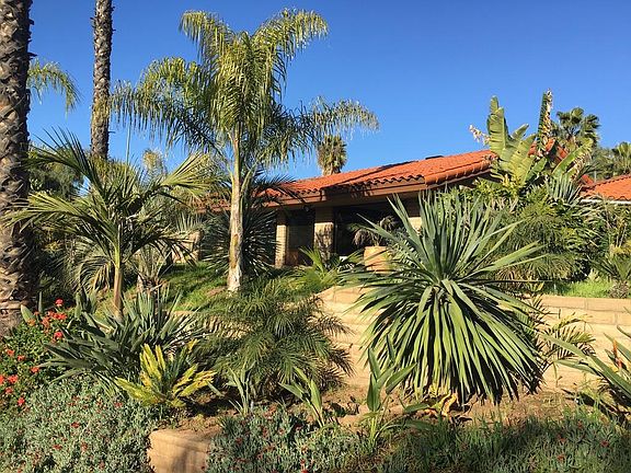 lush landscaping