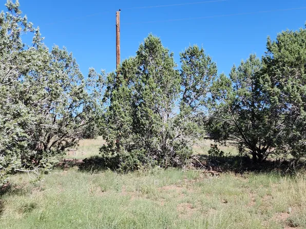 4142 N Lore Way, Ash Fork, AZ 86320
