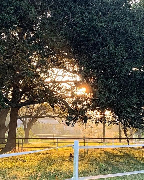 1391 County Road 668, Alvin, TX 77511 Zillow